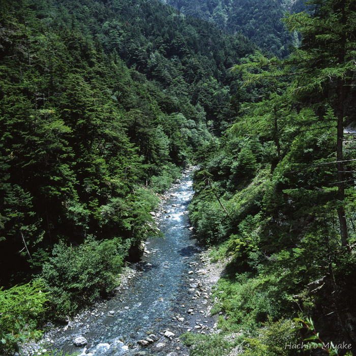 野呂川清流