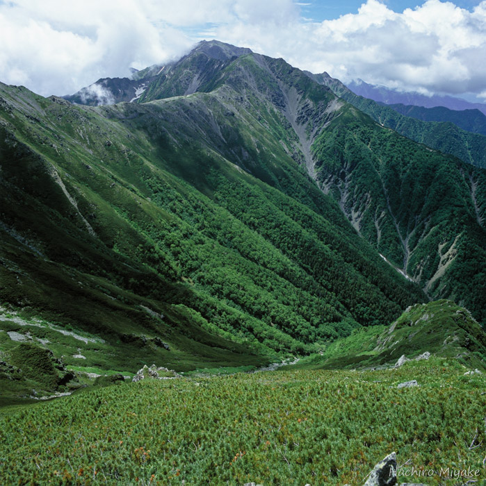 間ノ岳（野呂川源流）