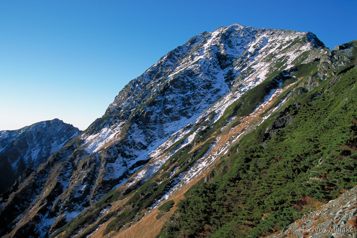 北岳初冠雪（草すべりより）