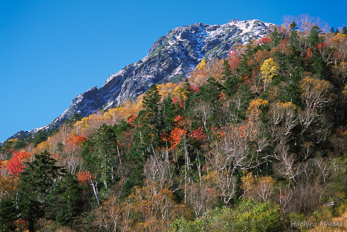 北岳初冠雪（白根御池より）