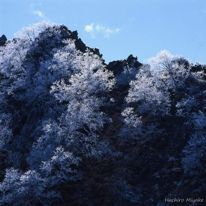 霧氷（八本歯のコルにて）